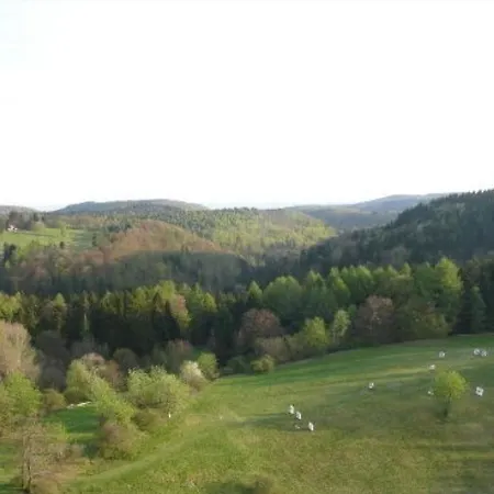 Panoramablick Ueber Den Oberharz *