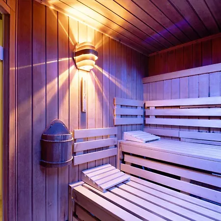 Panoramablick Ueber Den Oberharz *