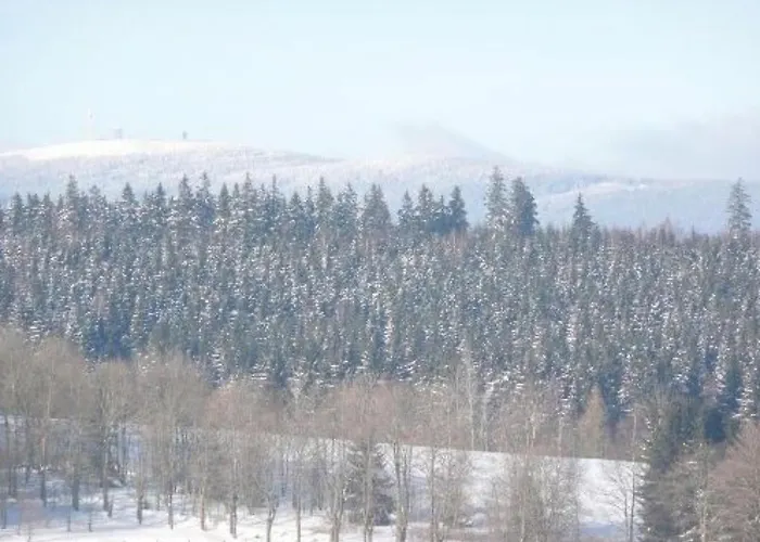 Panoramablick Ueber Den Oberharz Apartment