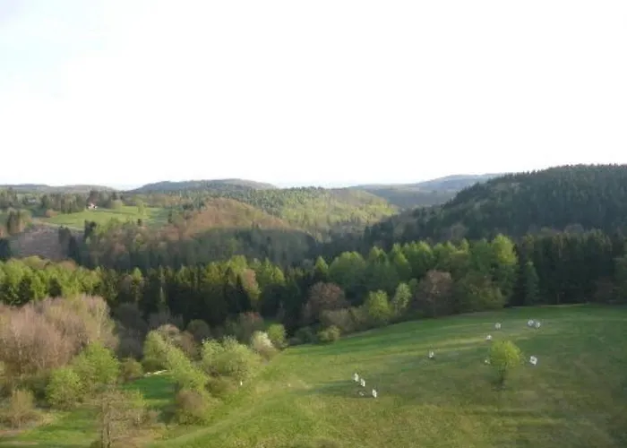 Panoramablick Ueber Den Oberharz *